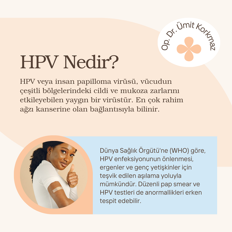 hpvnedir